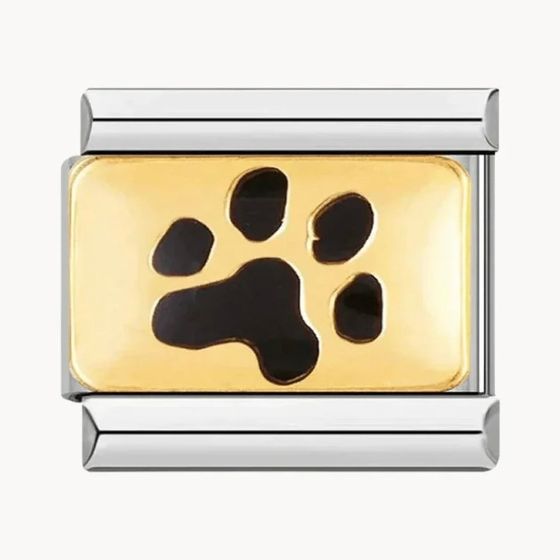Patte de chien noir