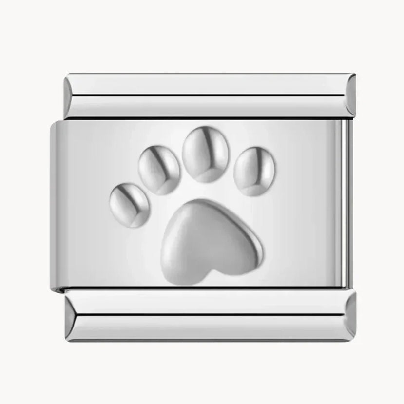 Patte de chien